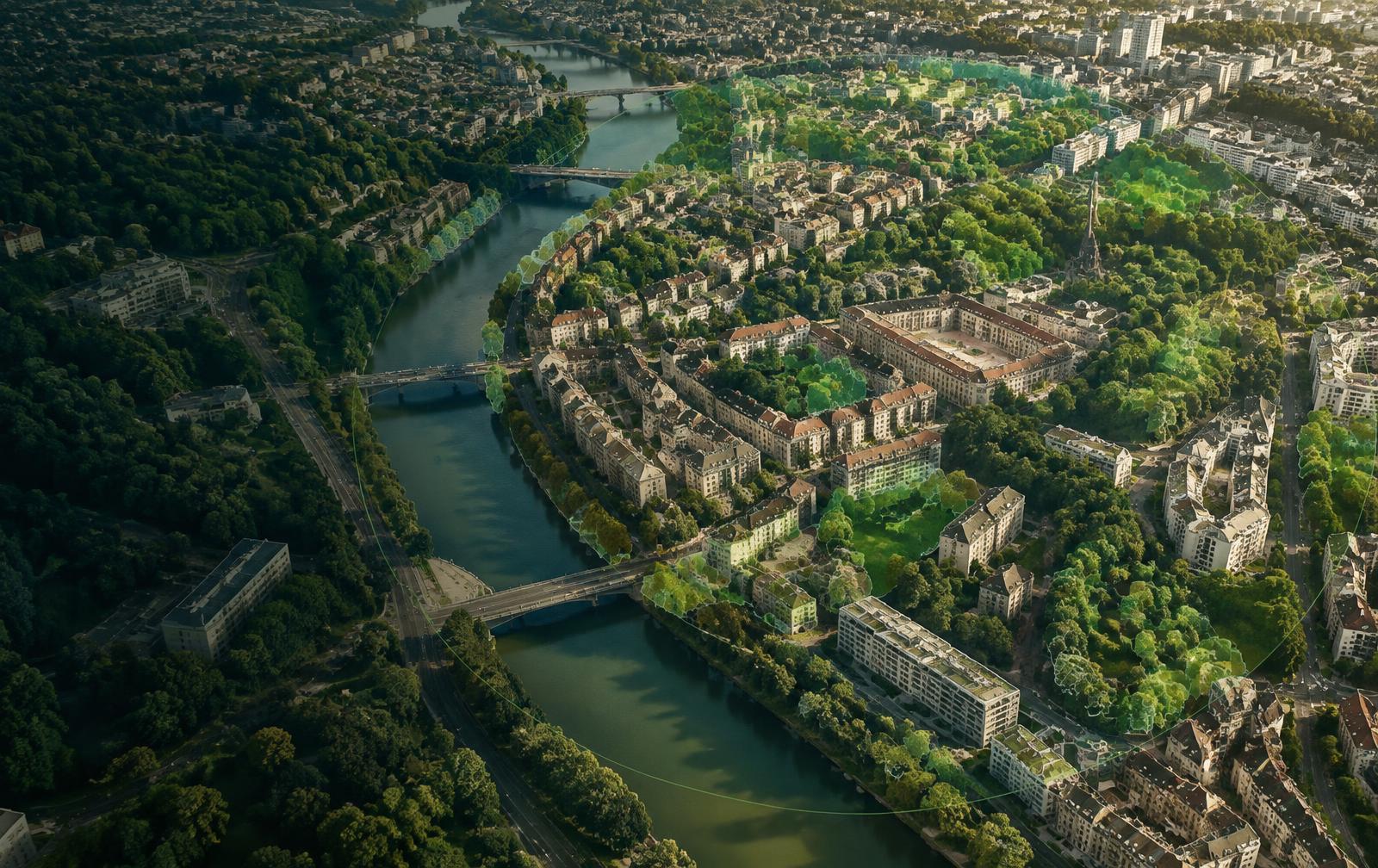 Aerial neighbourhood view with its tree canopy highlighted inside a study area